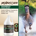 Load image into Gallery viewer, Shampoo Fungal Defense Horse Maximus Care – 1 Gallon | Medicated Skin Treatment