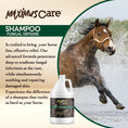 Load image into Gallery viewer, Shampoo Fungal Defense Horse Maximus Care – 1 Gallon | Medicated Skin Treatment