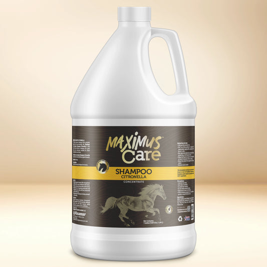 Shampoo Citronella Horse Maximus Care – 1 Gallon