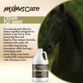 Load image into Gallery viewer, Cedar Fly for Horses Maximus Care – 1 Gallon