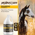 Load image into Gallery viewer, Shampoo Citronella Horse Maximus Care – 1 Gallon