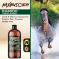 Load image into Gallery viewer, Shampoo Fungal Defense Horse Maximus Care – 32 oz | Veterinary-Strength Formula

