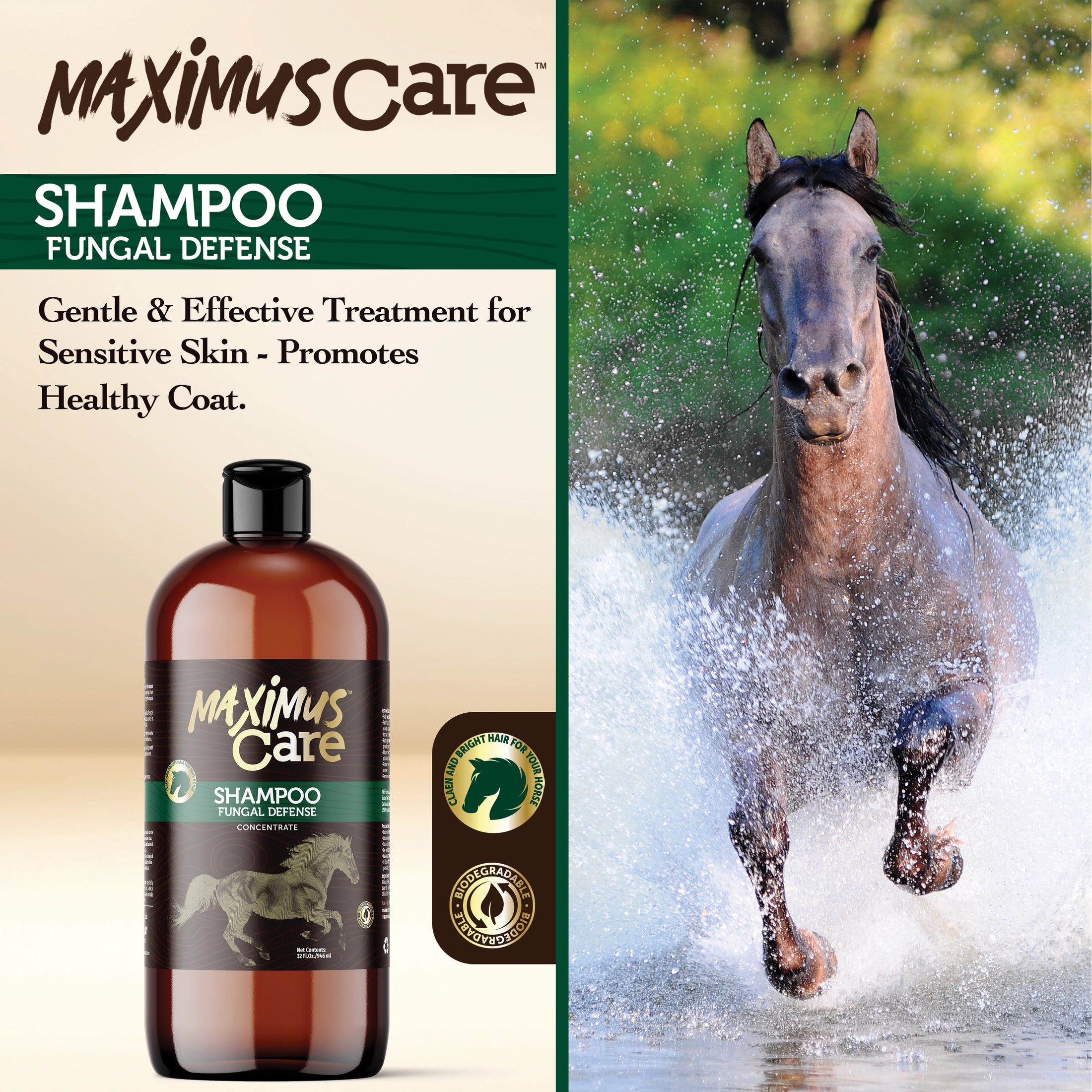 Shampoo Fungal Defense Horse Maximus Care – 32 oz | Veterinary-Strength Formula