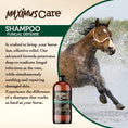 Load image into Gallery viewer, Shampoo Fungal Defense Horse Maximus Care – 32 oz | Veterinary-Strength Formula
