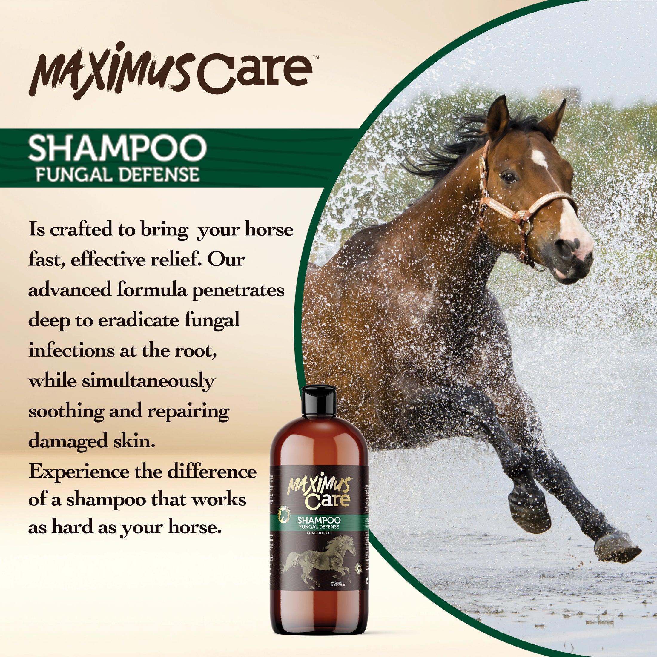Shampoo Fungal Defense Horse Maximus Care – 32 oz | Veterinary-Strength Formula