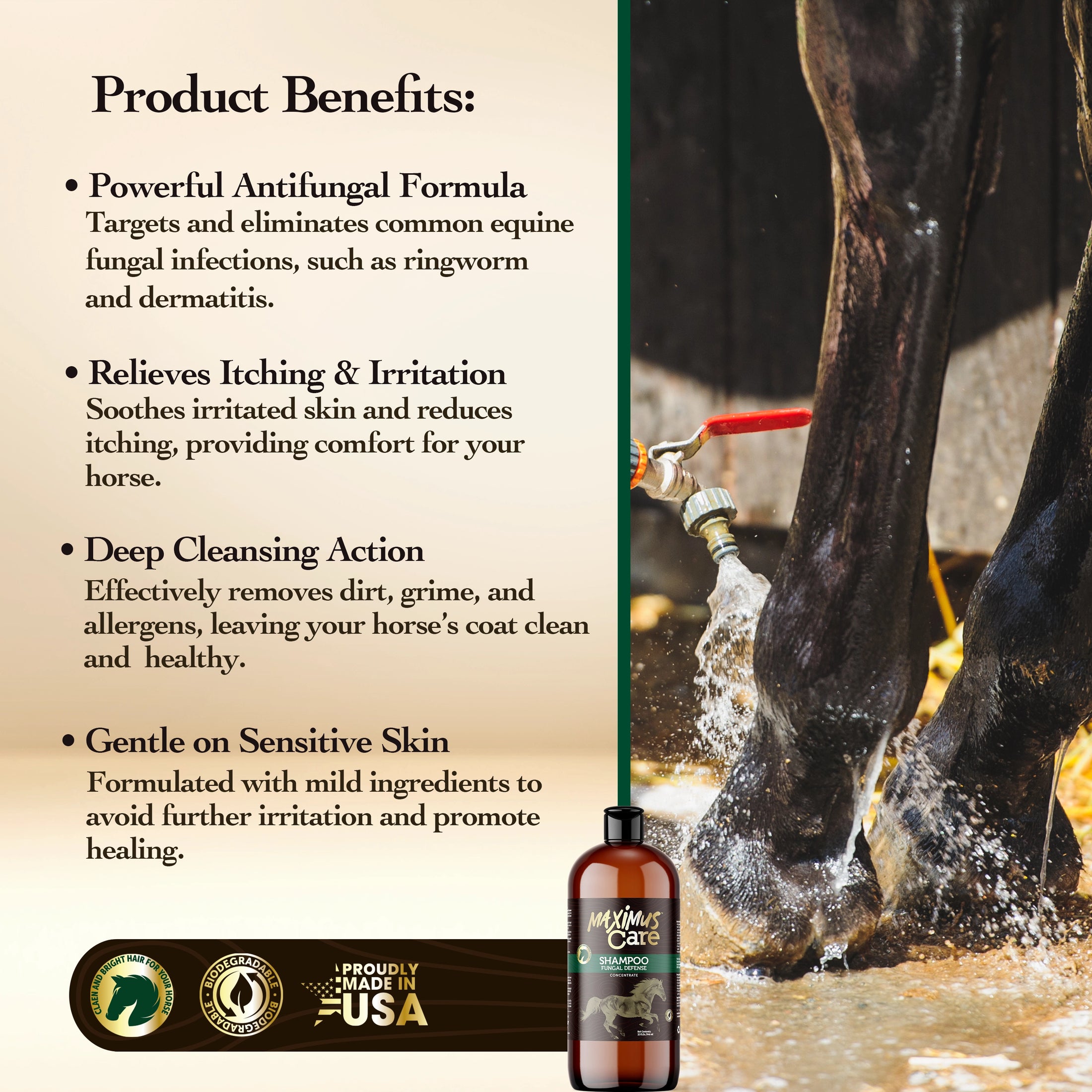 Shampoo Fungal Defense Horse Maximus Care – 32 oz | Veterinary-Strength Formula