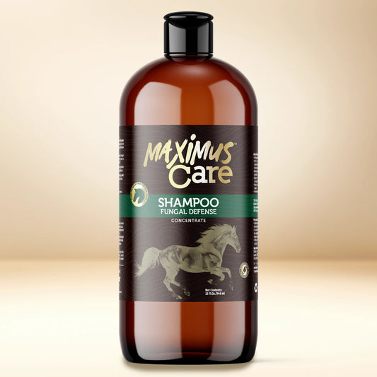 Shampoo Fungal Defense Horse Maximus Care – 32 oz | Veterinary-Strength Formula
