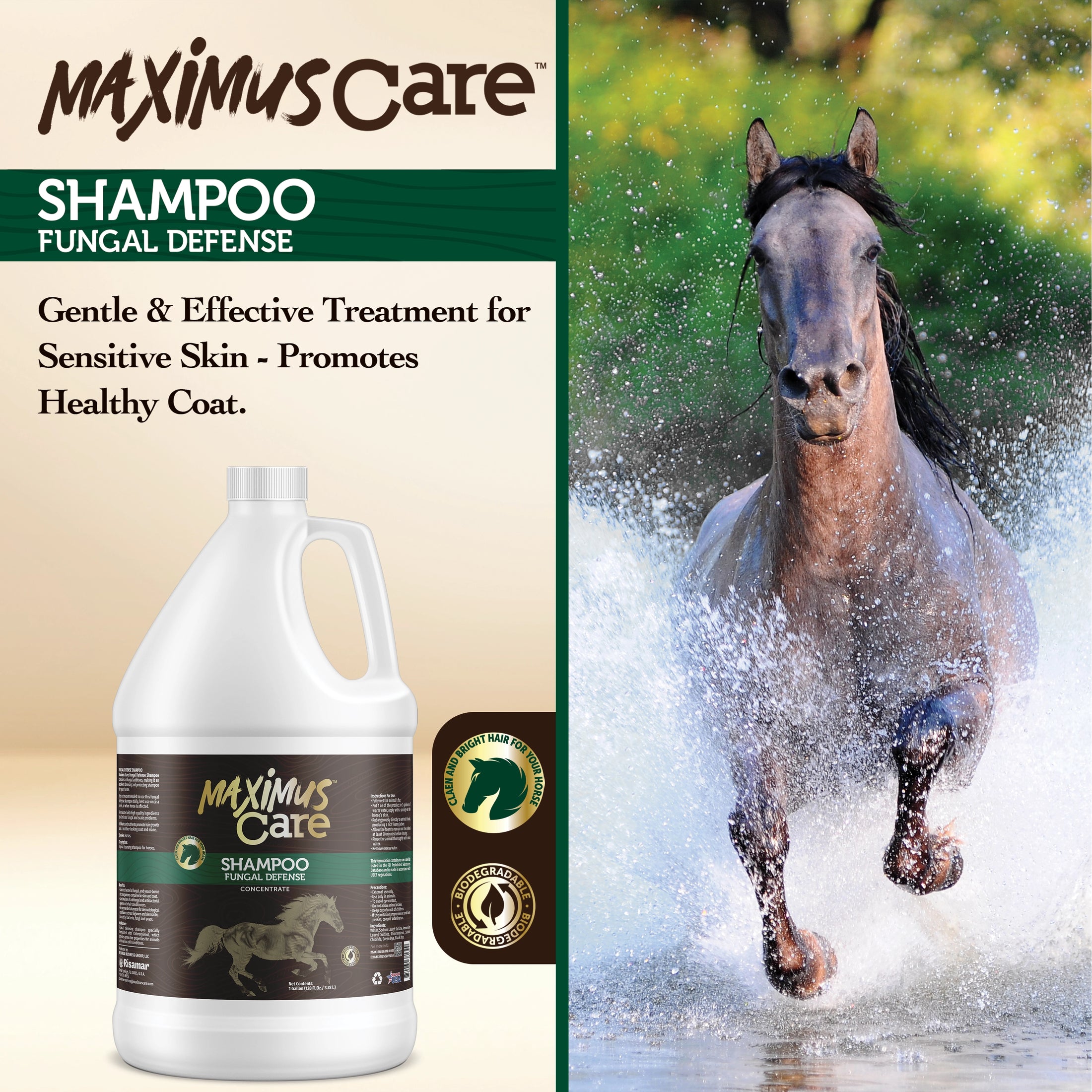 Shampoo Fungal Defense Horse Maximus Care – 1 Gallon | Medicated Skin Treatment
