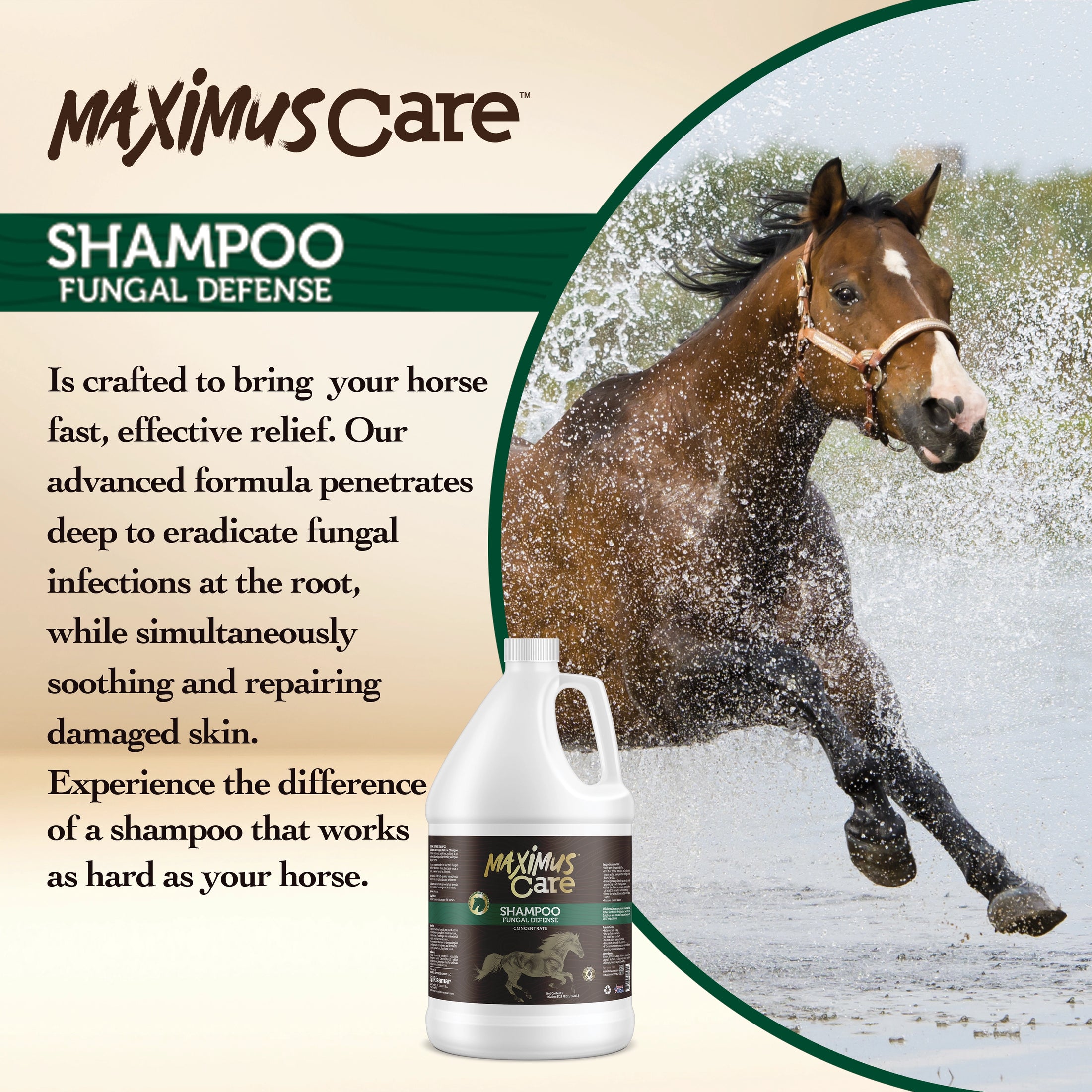 Shampoo Fungal Defense Horse Maximus Care – 1 Gallon | Medicated Skin Treatment