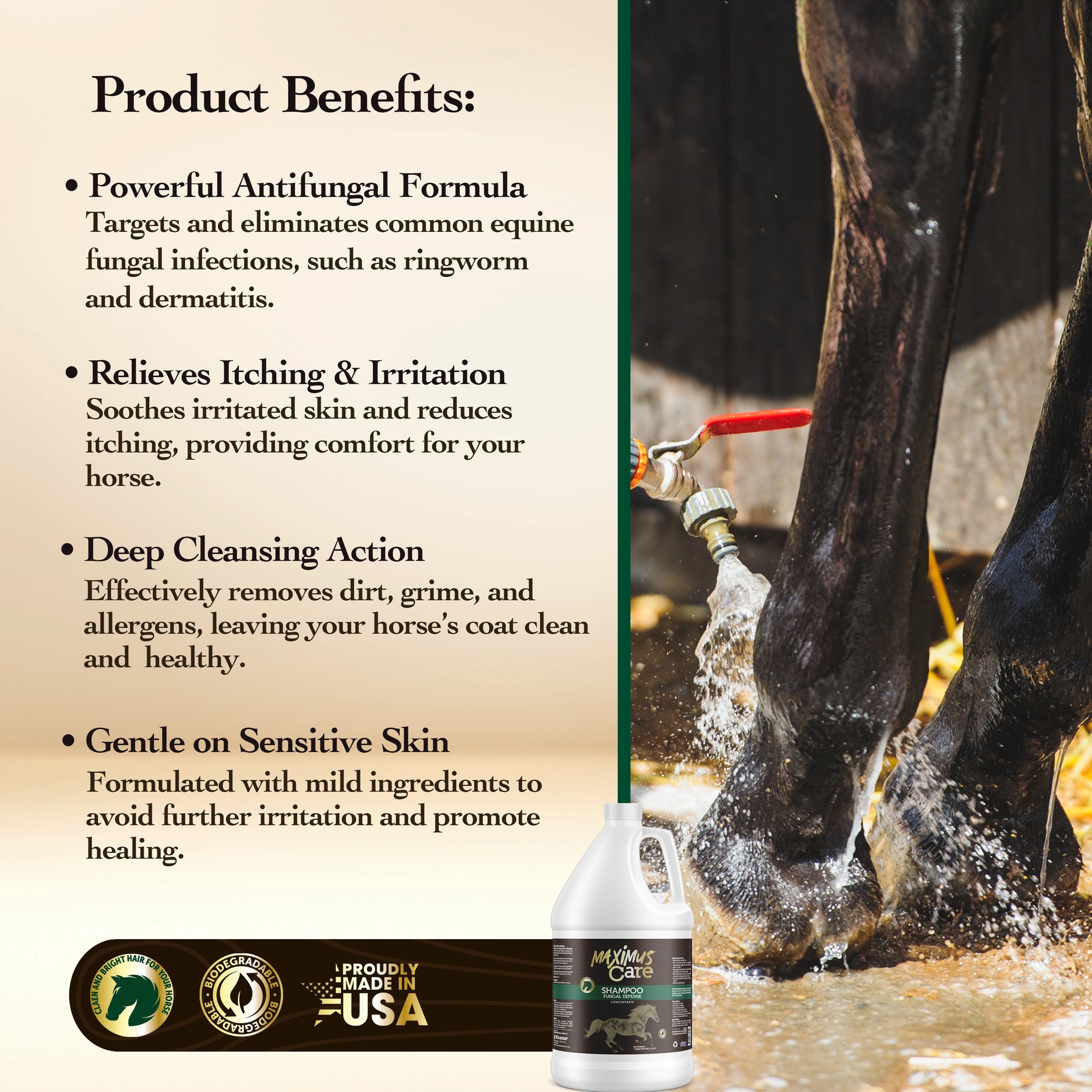 Shampoo Fungal Defense Horse Maximus Care – 1 Gallon | Medicated Skin Treatment