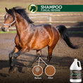 Load image into Gallery viewer, Shampoo Fungal Defense Horse Maximus Care – 1 Gallon | Medicated Skin Treatment
