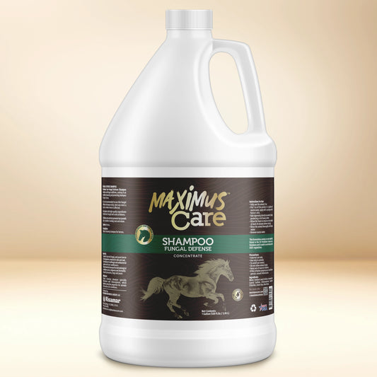 Shampoo Fungal Defense Horse Maximus Care – 1 Gallon | Medicated Skin Treatment