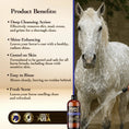 Load image into Gallery viewer, Maximus Care Clean Horse Shampoo Concentrate, Daily
