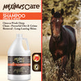 Load image into Gallery viewer, Shampoo Heavy Duty Horse Maximus Care – 1 Gallon | Deep Clean & Condition
