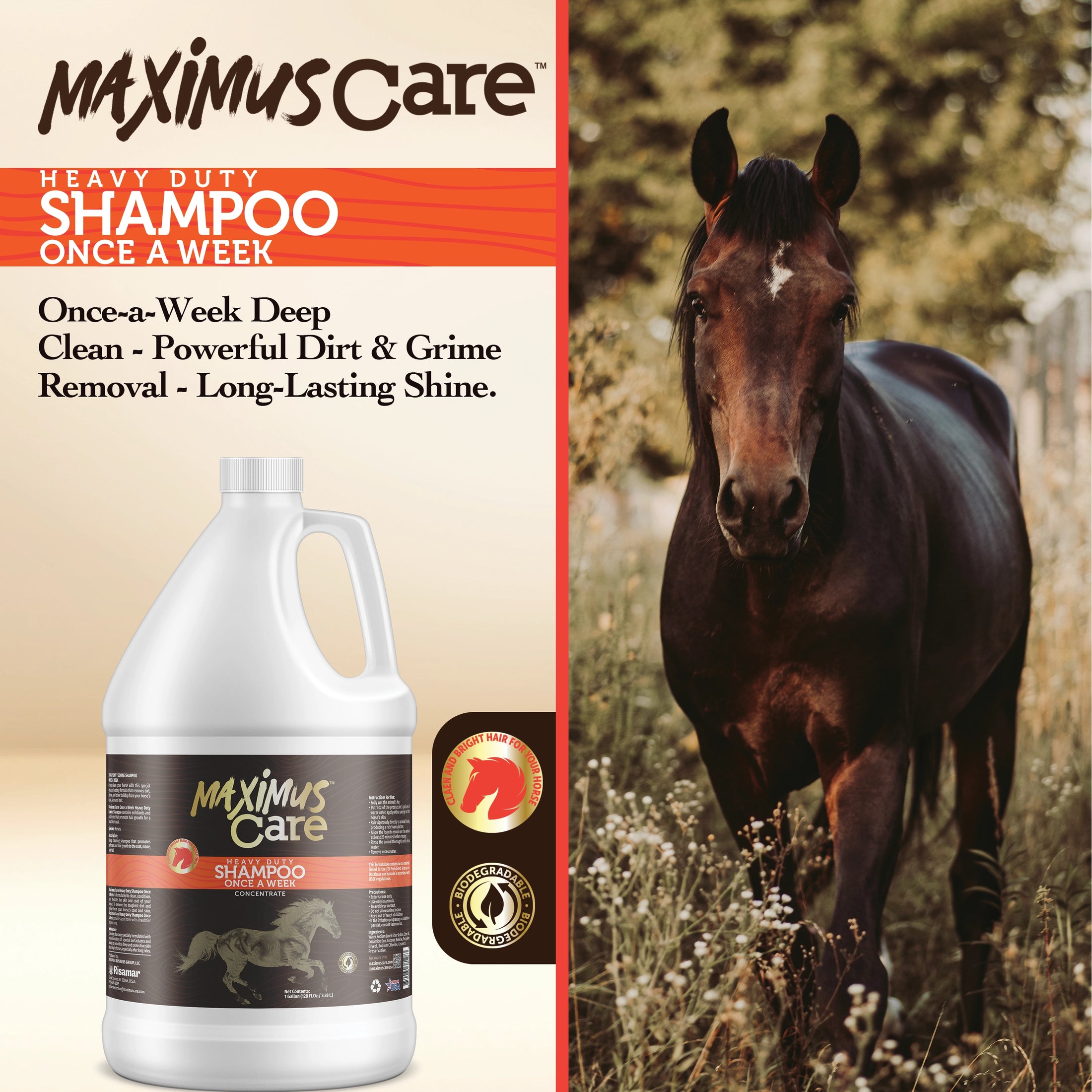 Shampoo Heavy Duty Horse Maximus Care – 1 Gallon | Deep Clean & Condition