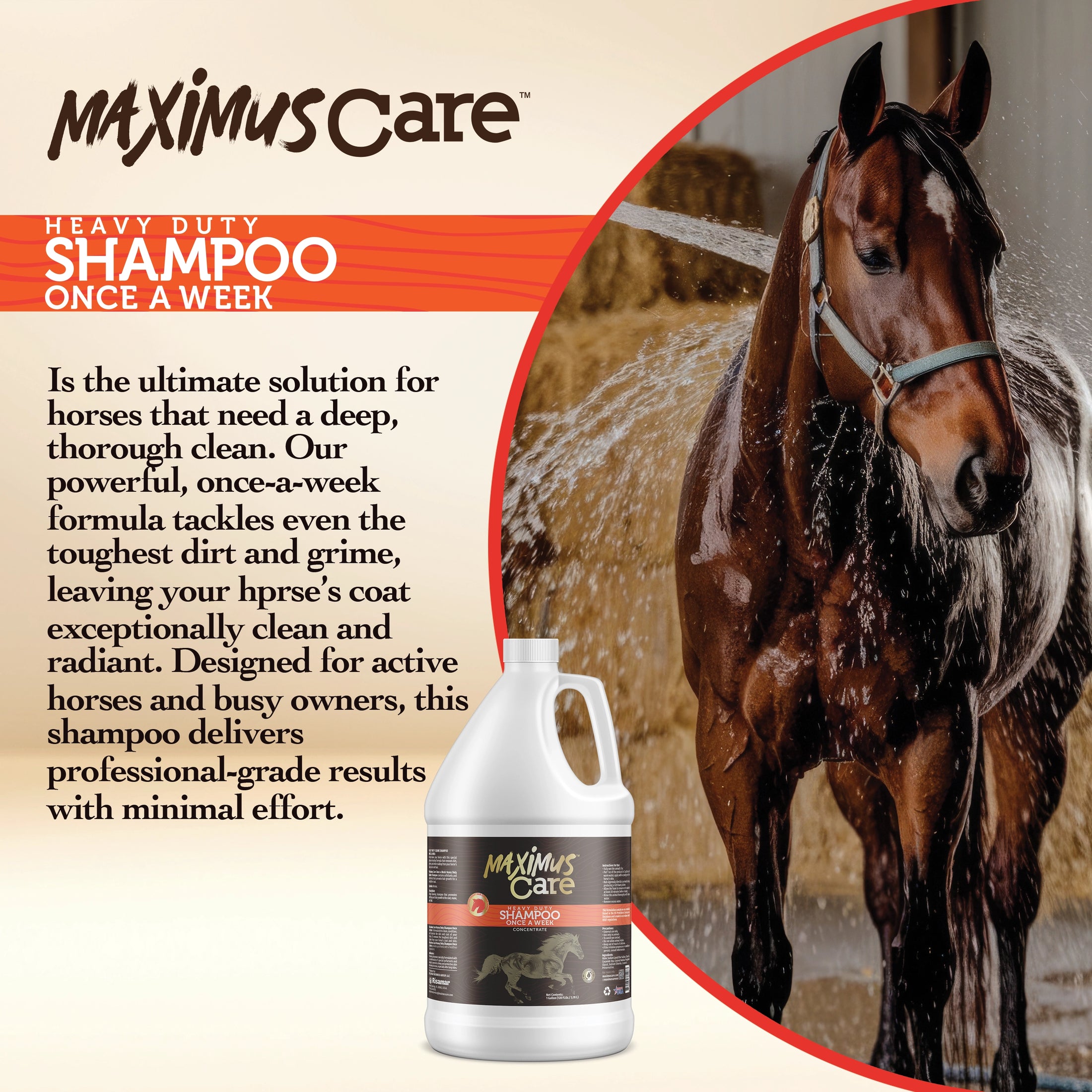Shampoo Heavy Duty Horse Maximus Care – 1 Gallon | Deep Clean & Condition