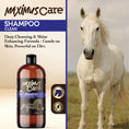 Load image into Gallery viewer, Shampoo Daily Horse Maximus Care – 32 oz | Show-Quality Cleansing
