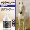 Load image into Gallery viewer, Shampoo Horse Maximus Care – 1 Gallon | Deep Cleaning & Conditioning Formula
