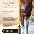 Load image into Gallery viewer, Shampoo Citronella Horse Maximus Care – 32 oz
