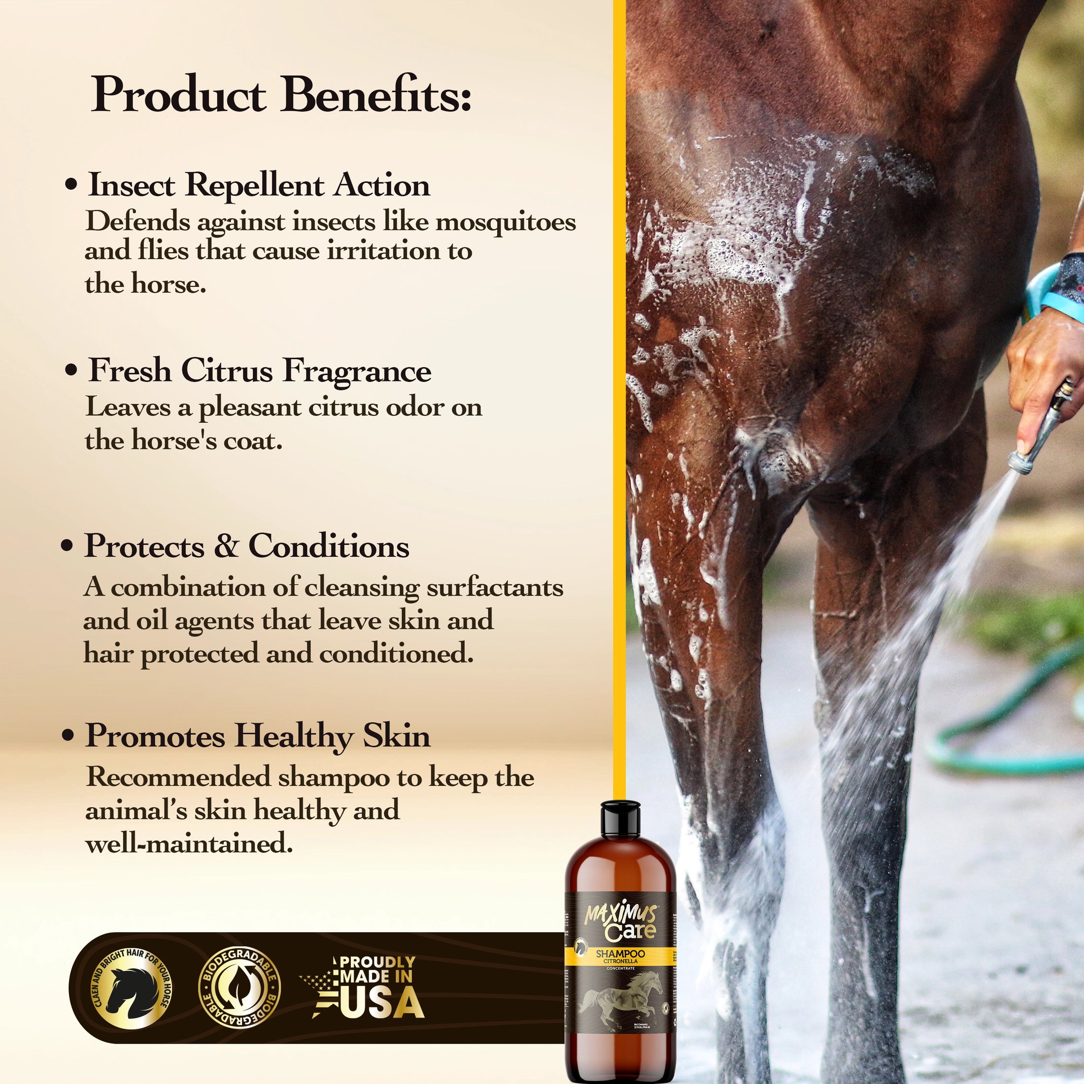 Shampoo Citronella Horse Maximus Care – 32 oz