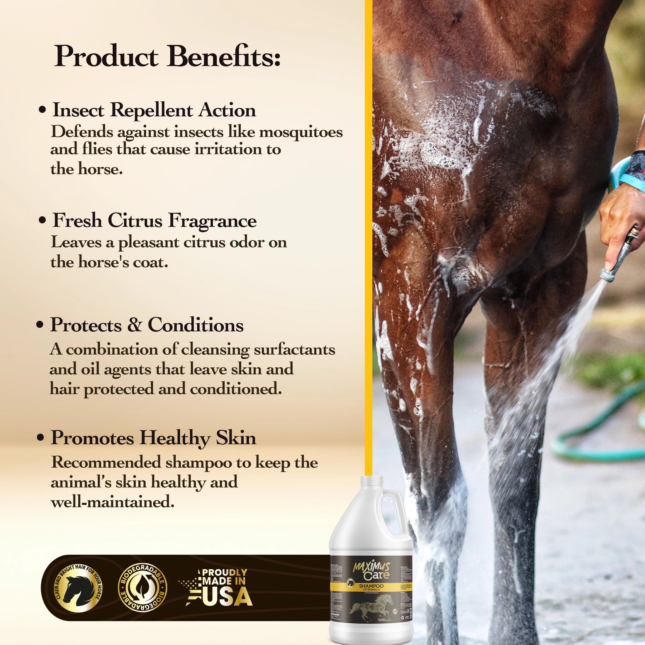 Shampoo Citronella Horse Maximus Care – 1 Gallon