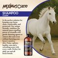 Load image into Gallery viewer, Shampoo Daily Horse Maximus Care – 32 oz | Show-Quality Cleansing
