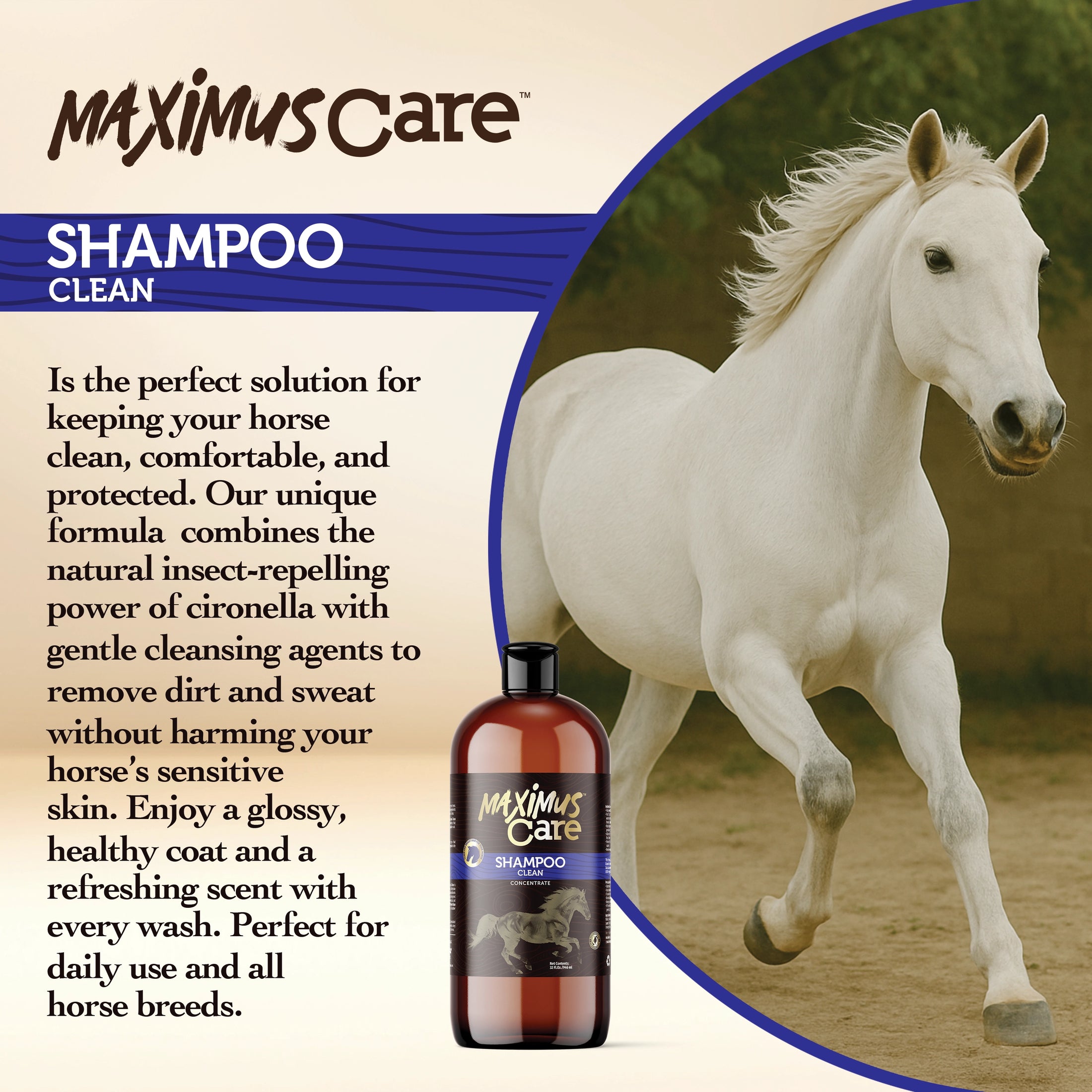 Shampoo Daily Horse Maximus Care – 32 oz | Show-Quality Cleansing