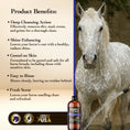 Load image into Gallery viewer, Shampoo Daily Horse Maximus Care – 32 oz | Show-Quality Cleansing
