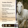 Load image into Gallery viewer, Shampoo Horse Maximus Care – 1 Gallon | Deep Cleaning & Conditioning Formula
