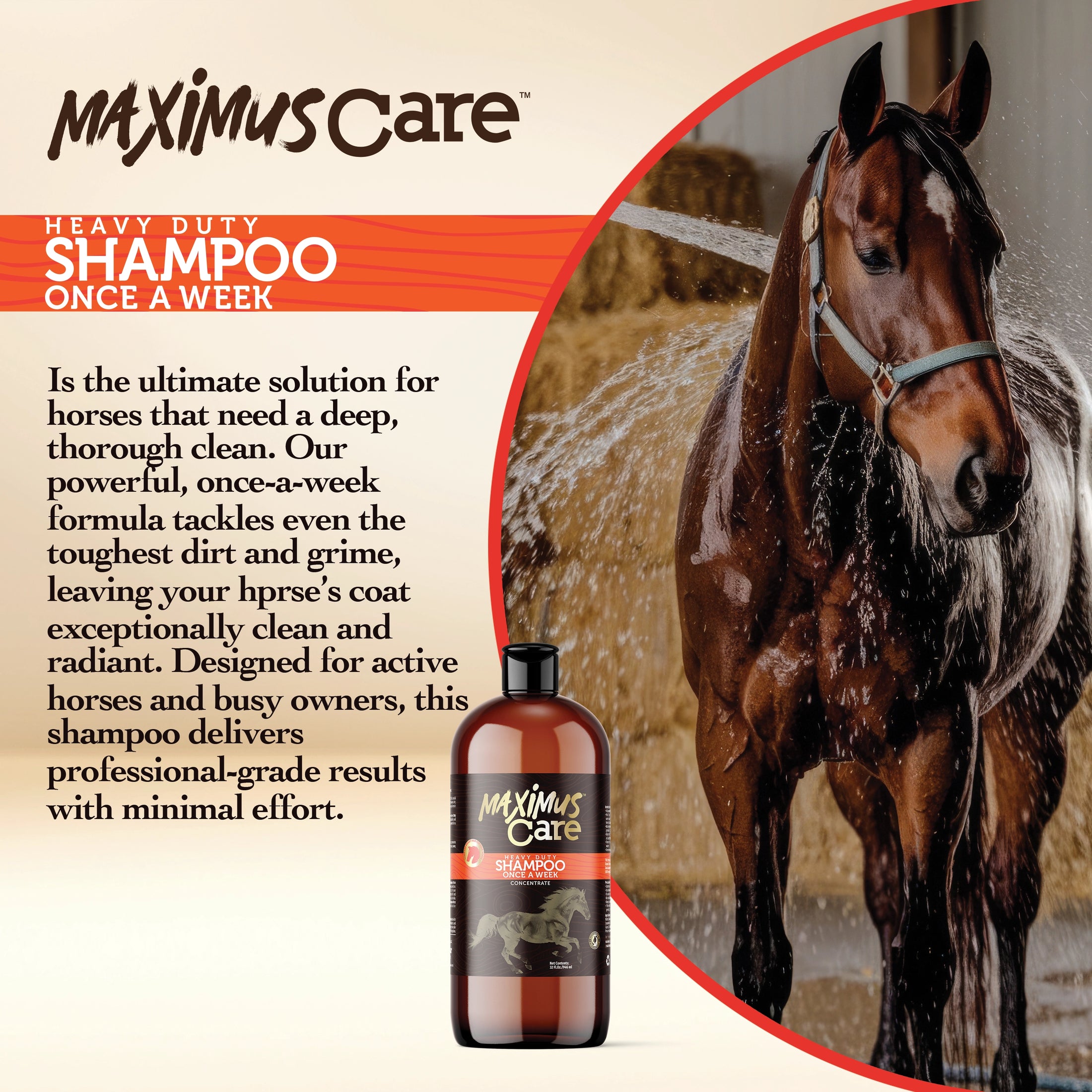 Shampoo Heavy Duty Horse Maximus Care – 32 oz | Deep Cleaning Concentrate