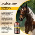 Load image into Gallery viewer, Shampoo Citronella Horse Maximus Care – 32 oz
