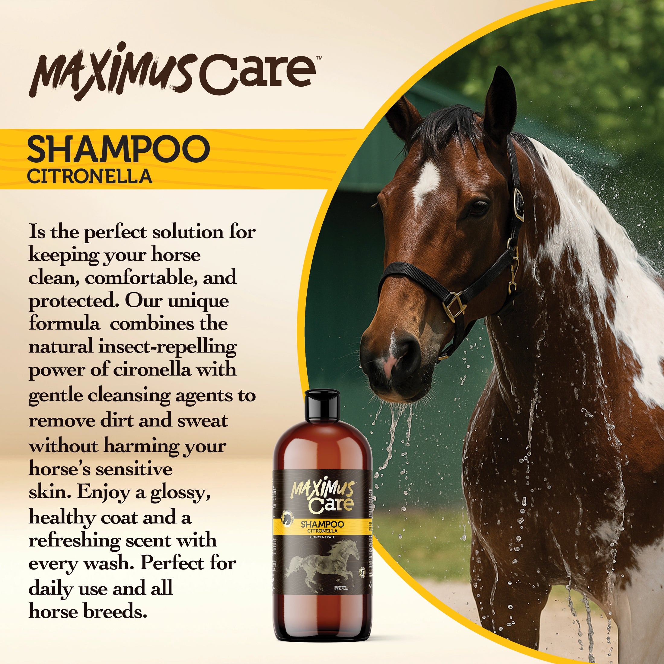 Shampoo Citronella Horse Maximus Care – 32 oz