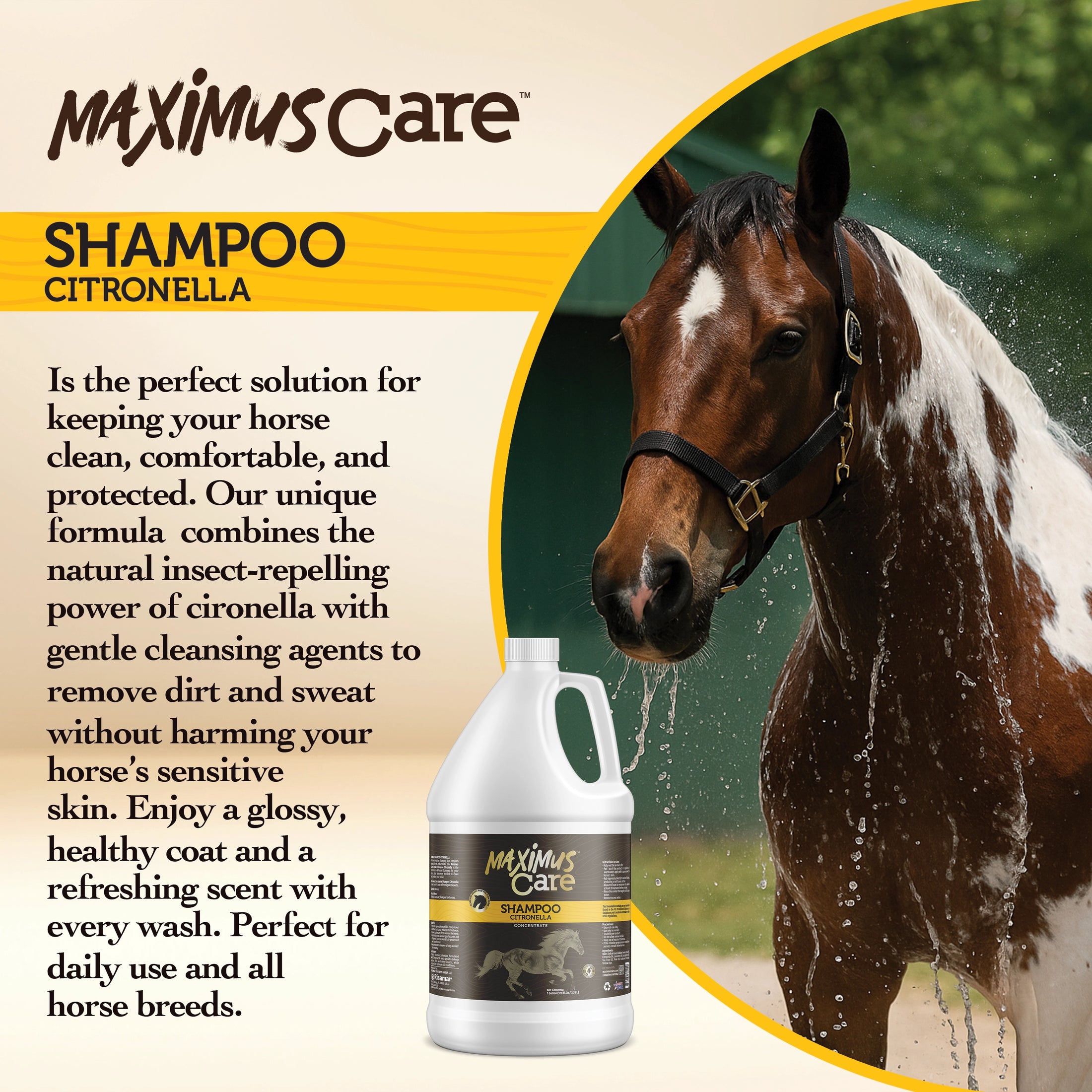 Shampoo Citronella Horse Maximus Care – 1 Gallon
