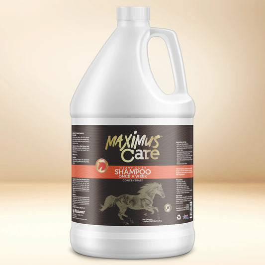 Shampoo Heavy Duty Horse Maximus Care – 1 Gallon | Deep Clean & Condition