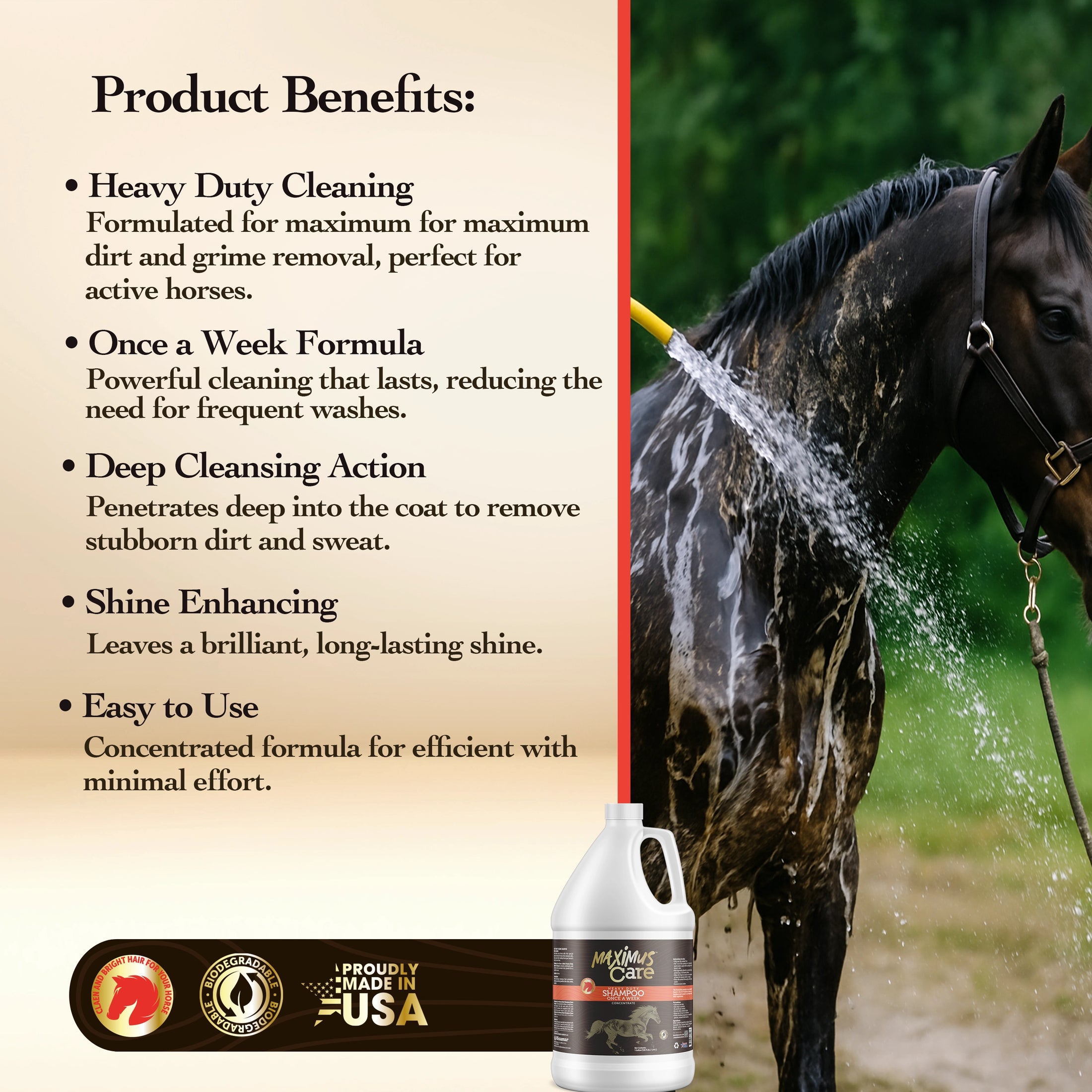 Shampoo Heavy Duty Horse Maximus Care – 1 Gallon | Deep Clean & Condition
