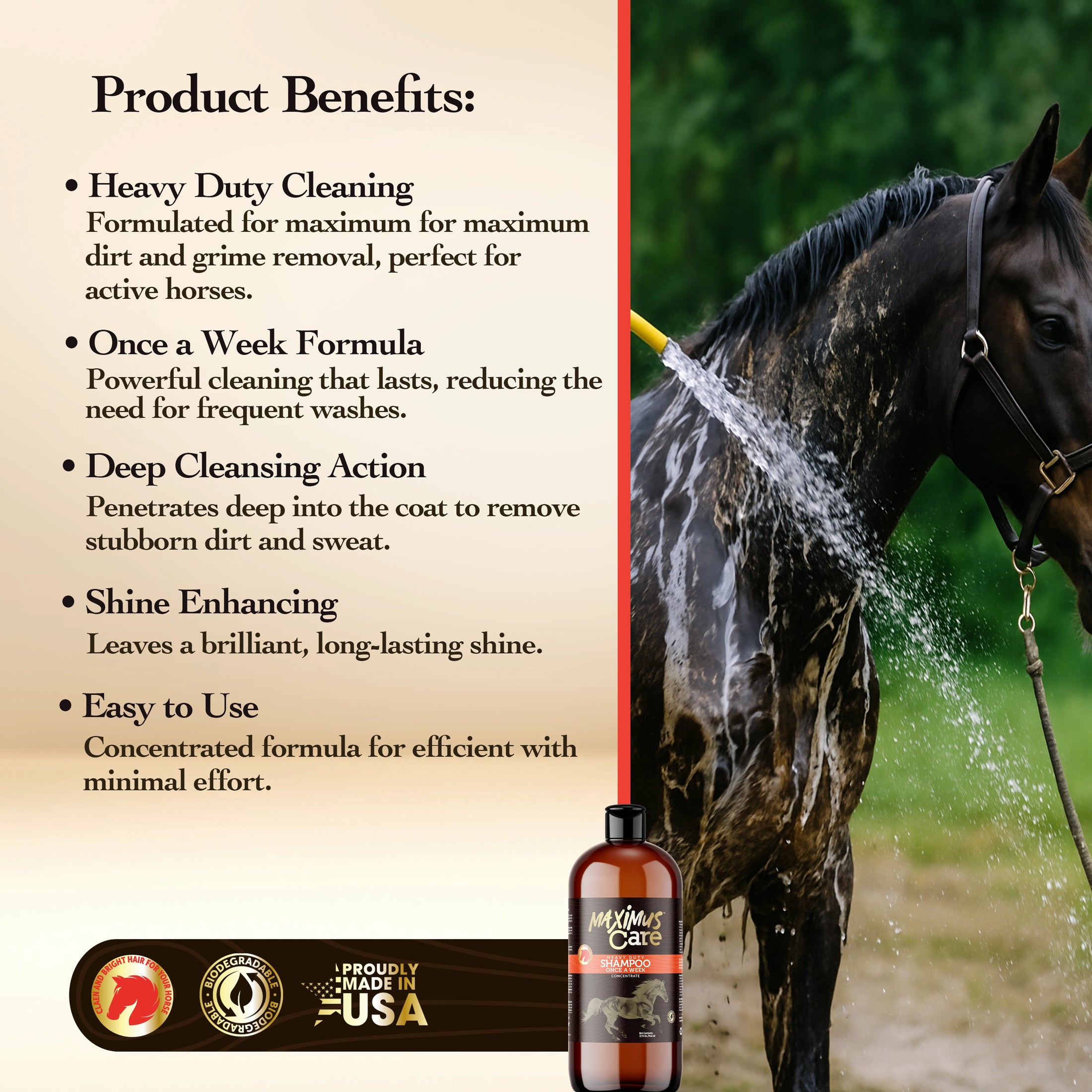 Shampoo Heavy Duty Horse Maximus Care – 32 oz | Deep Cleaning Concentrate